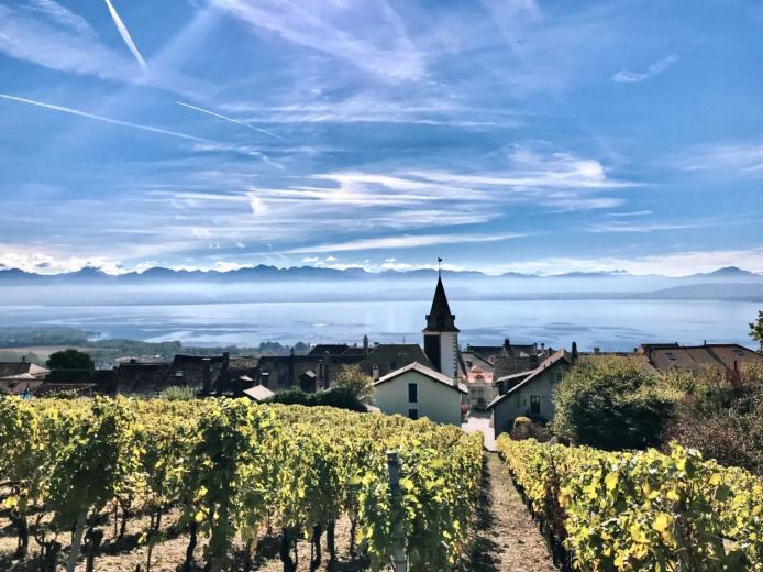 Haus zu verkaufen in Bougy-Villars - Smart Propylaia (76)