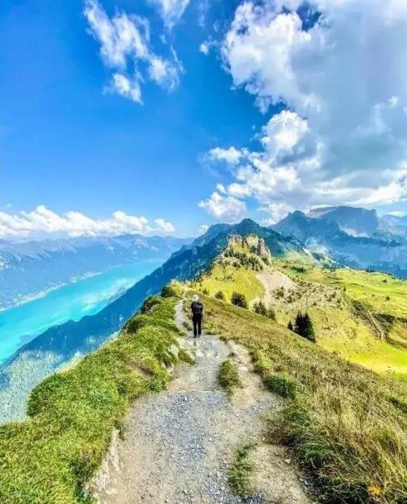 A vendre   Suisse - cChic-immoHub votre portail immobilier