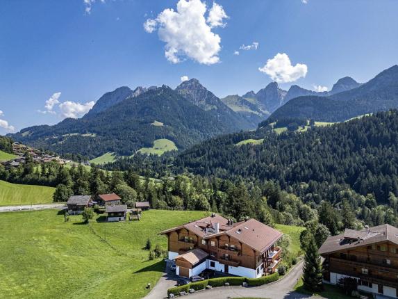 Wohnung zu verkaufen in Château-d'Oex (20)