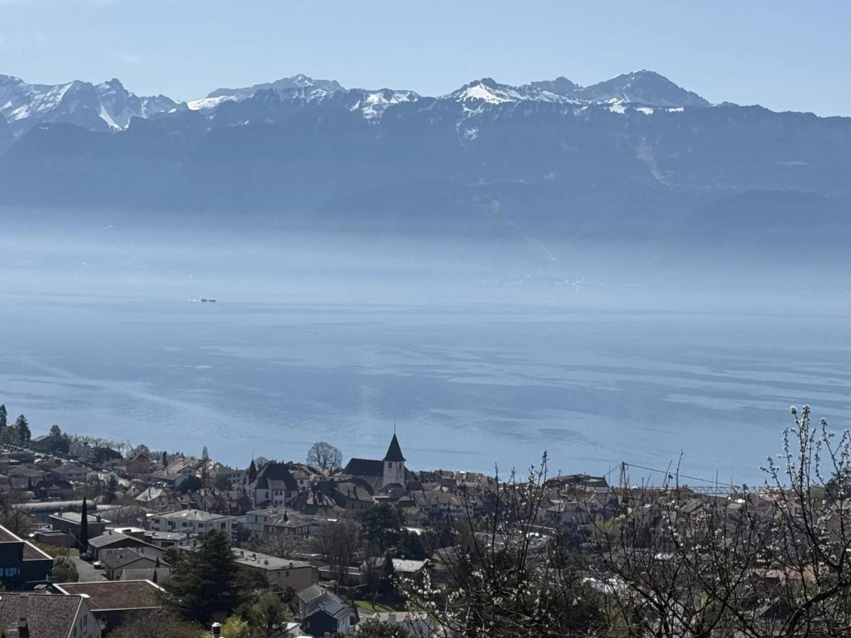 For sale   Switzerland - cChic-immoHub your real estate portal