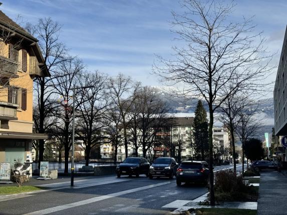 Wohnung zu verkaufen in Monthey (20)
