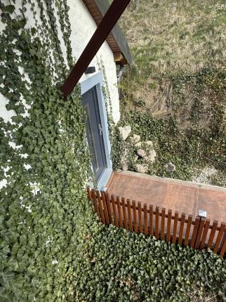 Casa in vendita a Grandvaux (34)