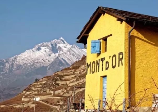 Wohnung zu vermieten in Clarens (33)