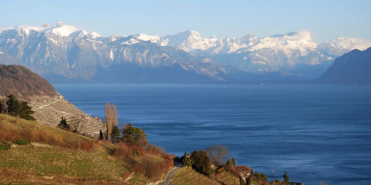 In vendita   Svizzera - 
cChic-immoHub Il vostro portale immobiliare