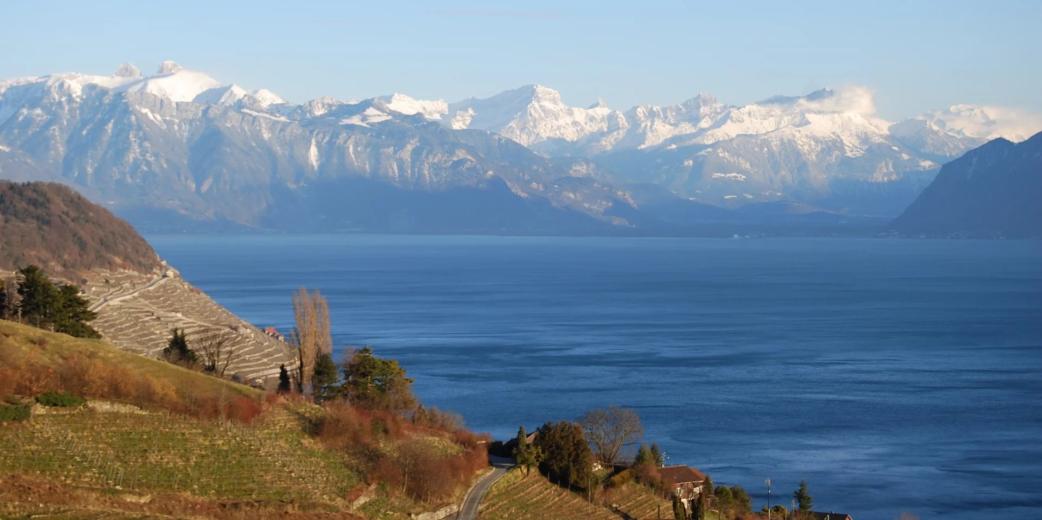 Terreno in vendita a Grandvaux - Smart Propylaia (12)