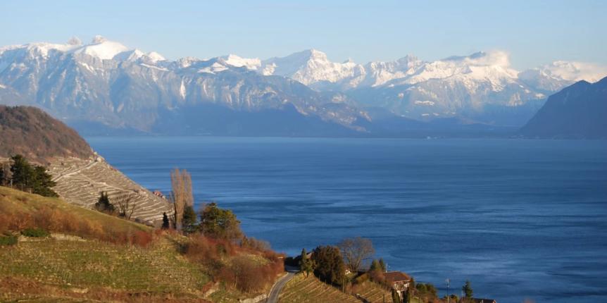 Terreno in vendita a Grandvaux (12)