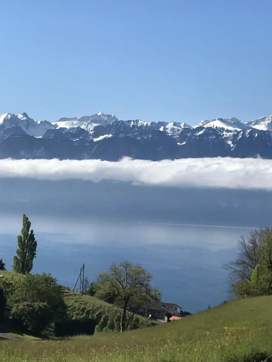 In vendita   Svizzera - 
cChic-immoHub Il vostro portale immobiliare