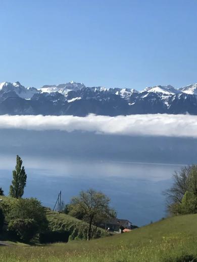 Terreno in vendita a Grandvaux - Smart Propylaia (13)