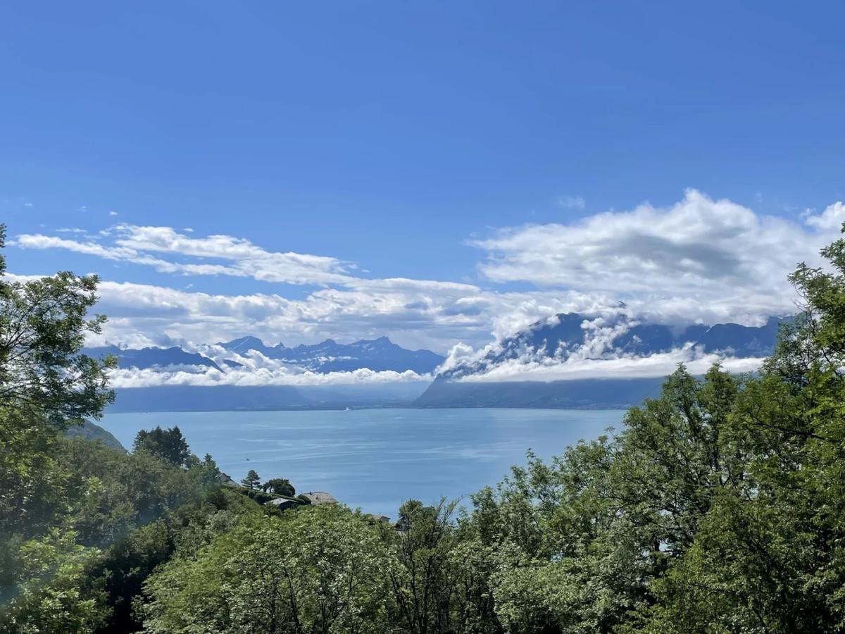 In vendita   Svizzera - 
cChic-immoHub Il vostro portale immobiliare