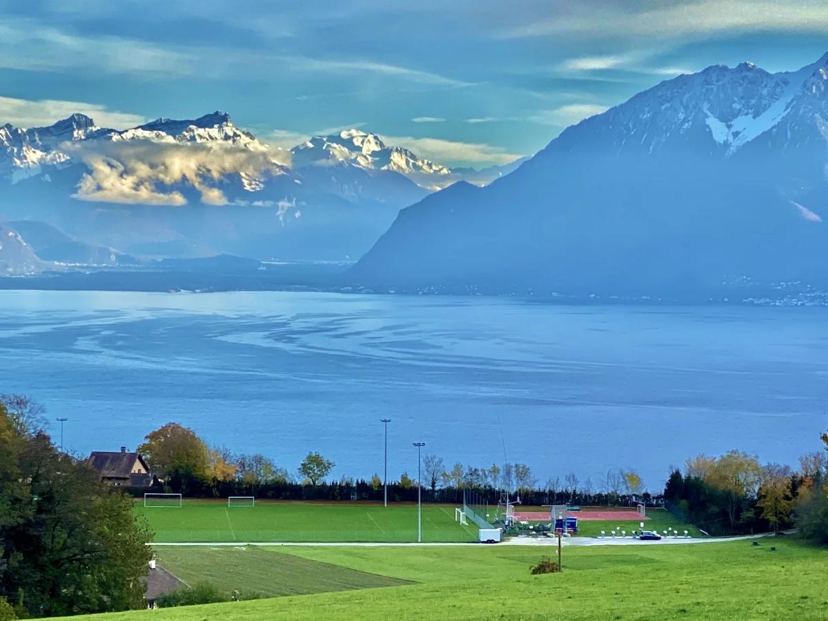In vendita   Svizzera - 
cChic-immoHub Il vostro portale immobiliare