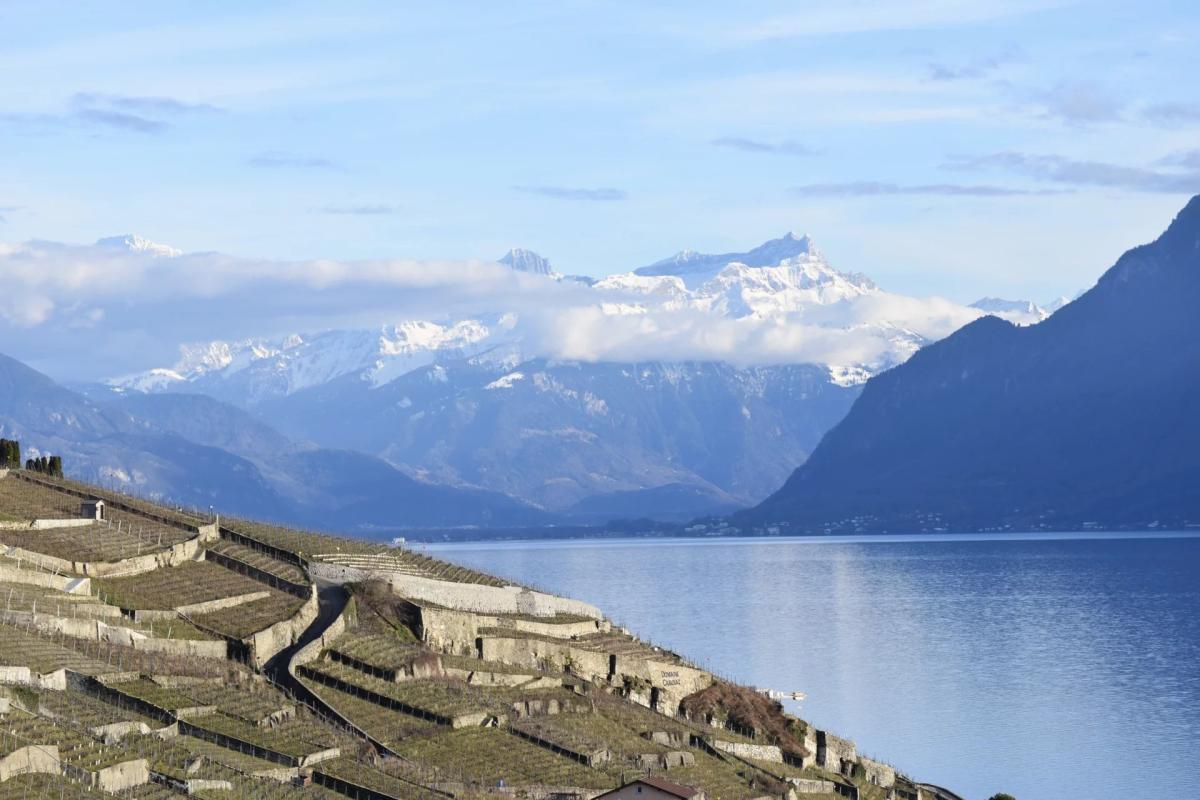 In vendita   Svizzera - 
cChic-immoHub Il vostro portale immobiliare