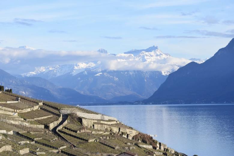 Terreno in vendita a Grandvaux - Smart Propylaia (19)