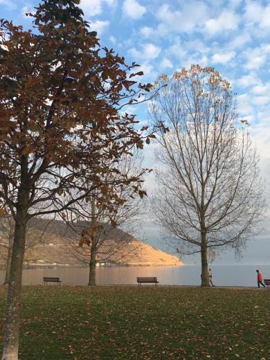 Terreno in vendita a Grandvaux - Smart Propylaia (20)
