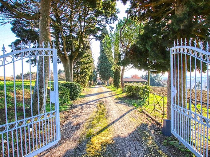 Agriculture for sale in Baziège - Smart Propylaia