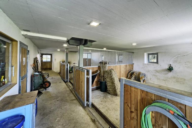 Casa in affitto a Attalens - Smart Propylaia (40)