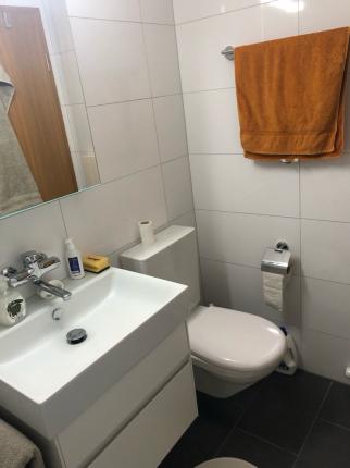 Apartment for rent in Speicherschwendi (5)