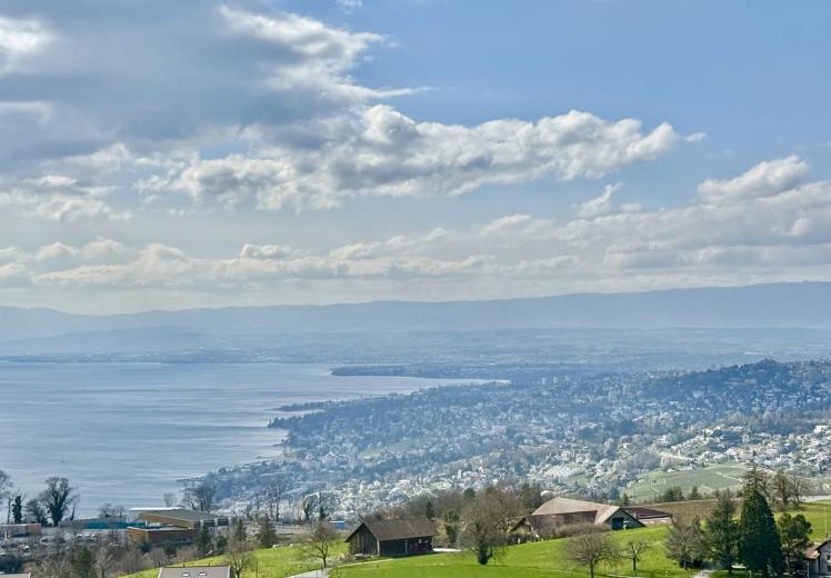 Casa in vendita a Grandvaux - Smart Propylaia (17)