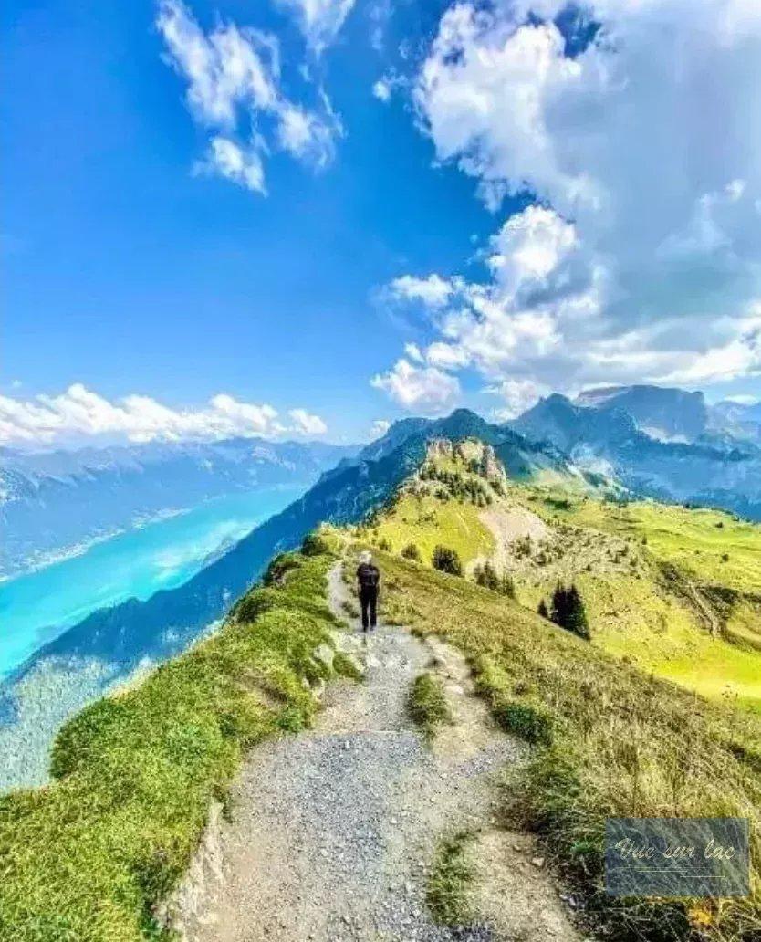 A vendre   Suisse - cChic-immoHub votre portail immobilier