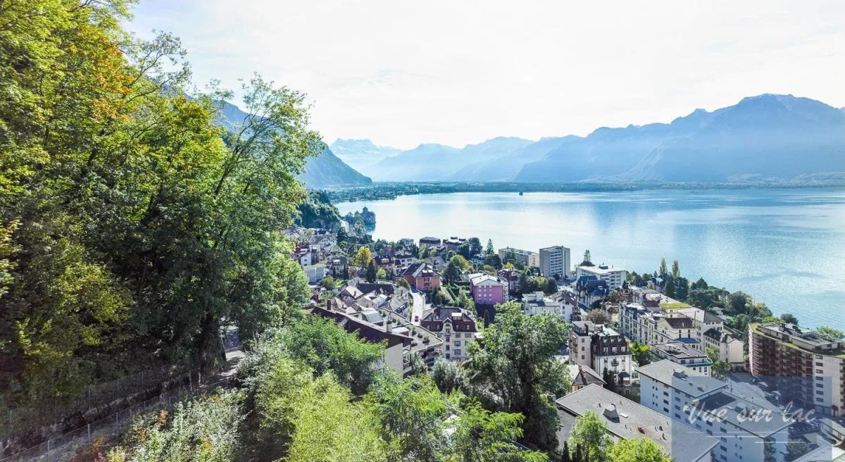 A vendre   Suisse - partenariat avec Smart-Propylaia Portail Immobilier