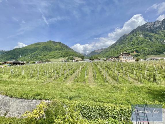 Haus zu verkaufen in Villeneuve VD (29)