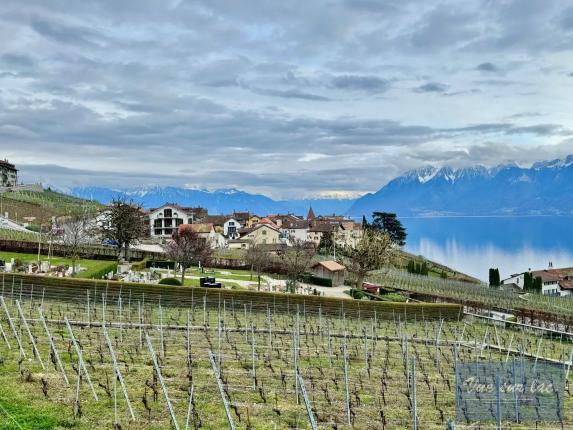 Casa in vendita a Grandvaux (115)