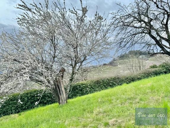 Casa in vendita a Grandvaux (139)