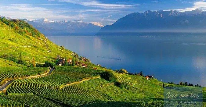 For sale   Switzerland - cChic-immoHub your real estate portal