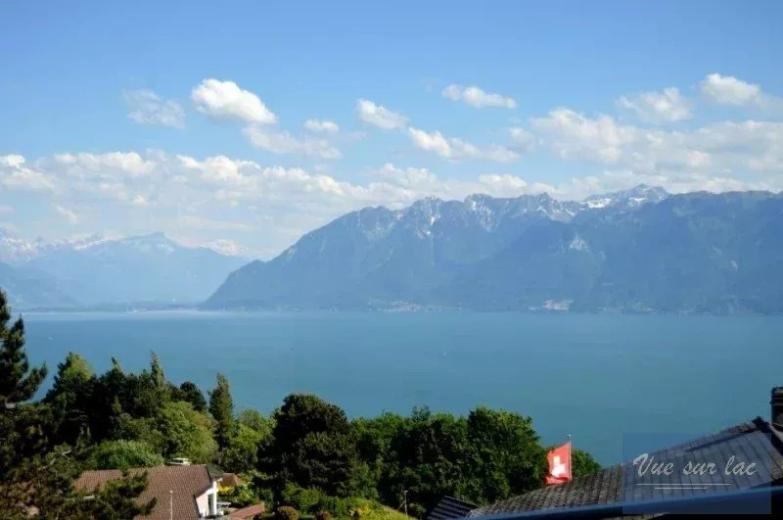Casa in vendita a Grandvaux - Smart Propylaia (29)
