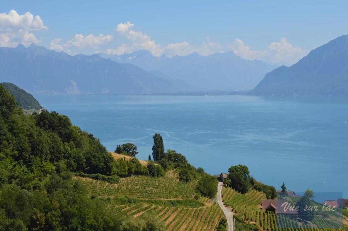 A vendre   Suisse - cChic-immoHub votre portail immobilier