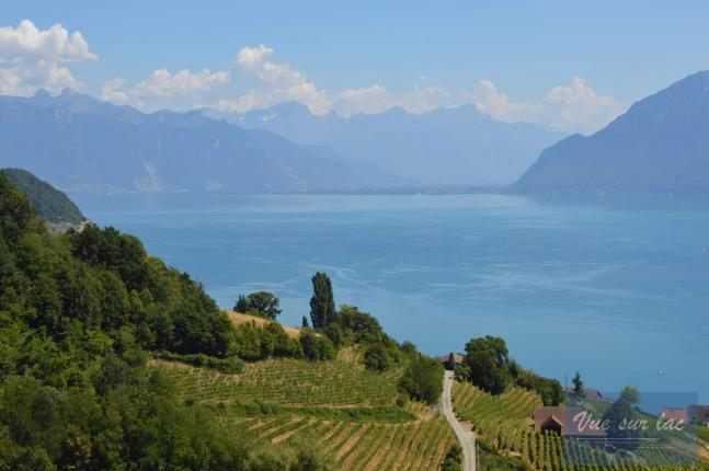 Casa in vendita a Grandvaux (32)