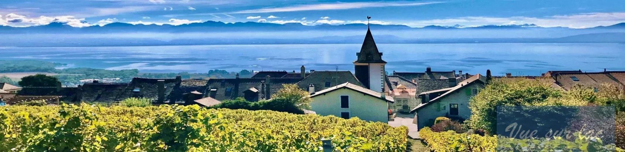 Haus zu verkaufen in Bougy-Villars - Smart Propylaia (112)