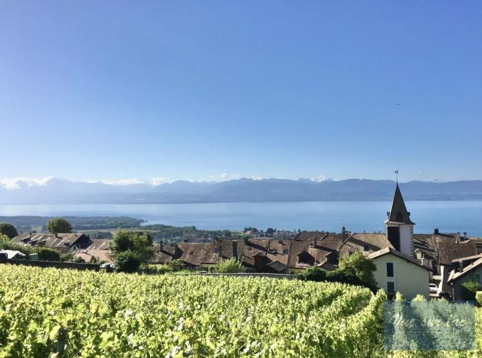 Haus zu verkaufen in Bougy-Villars - Smart Propylaia (130)