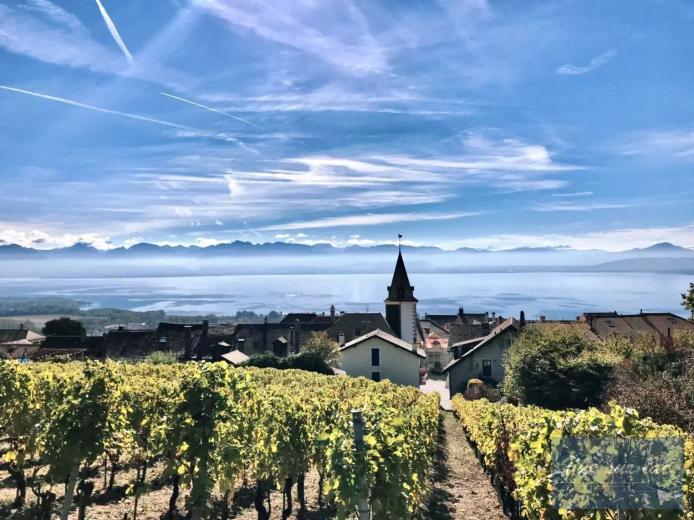 Haus zu verkaufen in Bougy-Villars - Smart Propylaia (131)