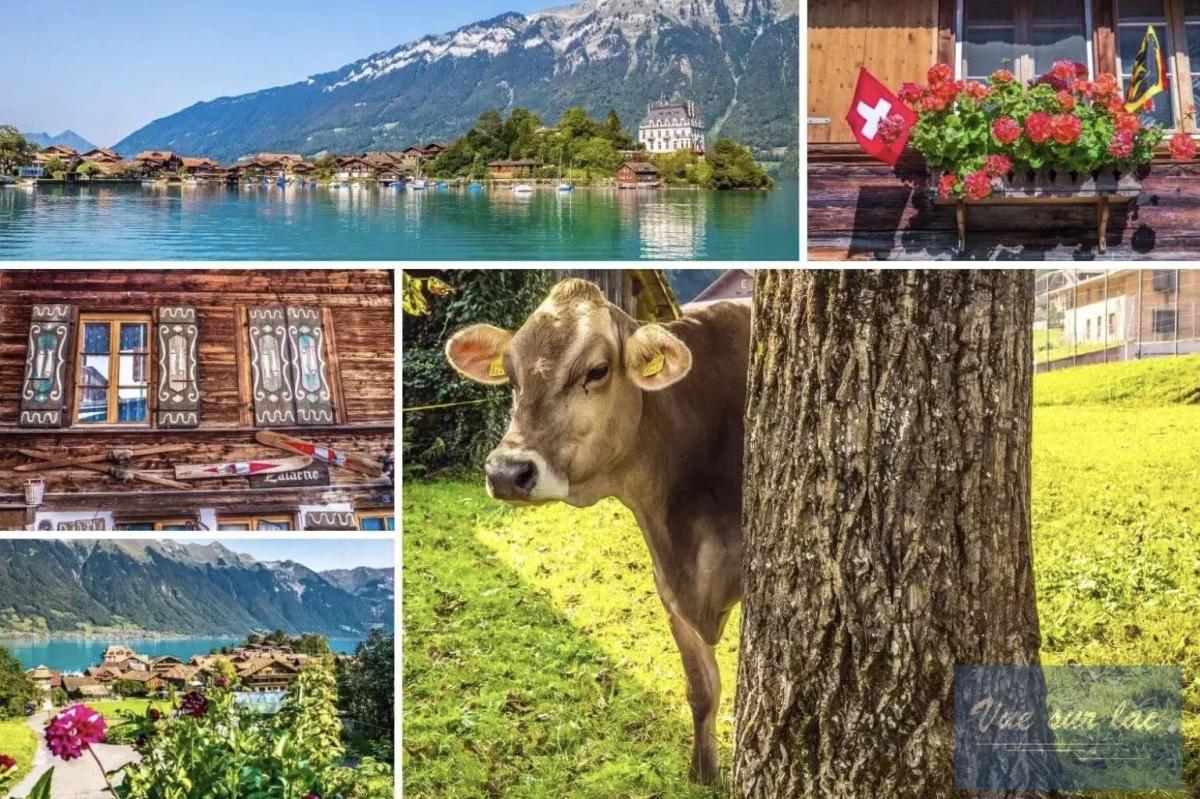 A vendre   Suisse - cChic-immoHub votre portail immobilier