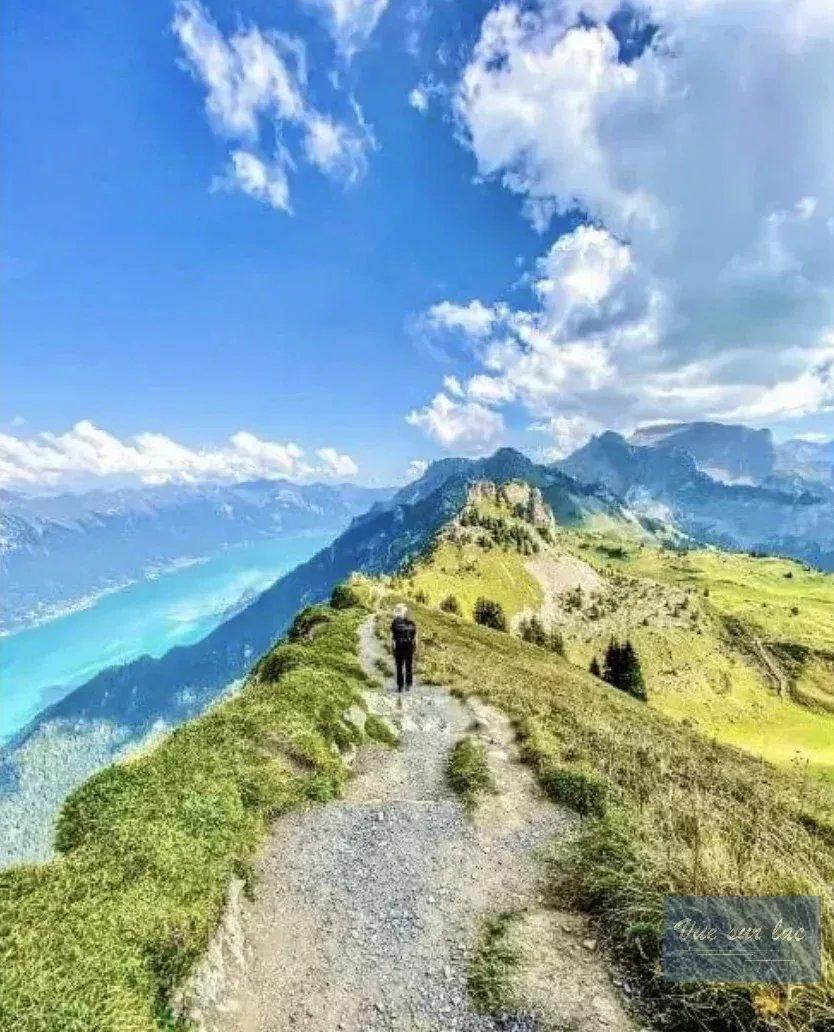 A vendre   Suisse - cChic-immoHub votre portail immobilier