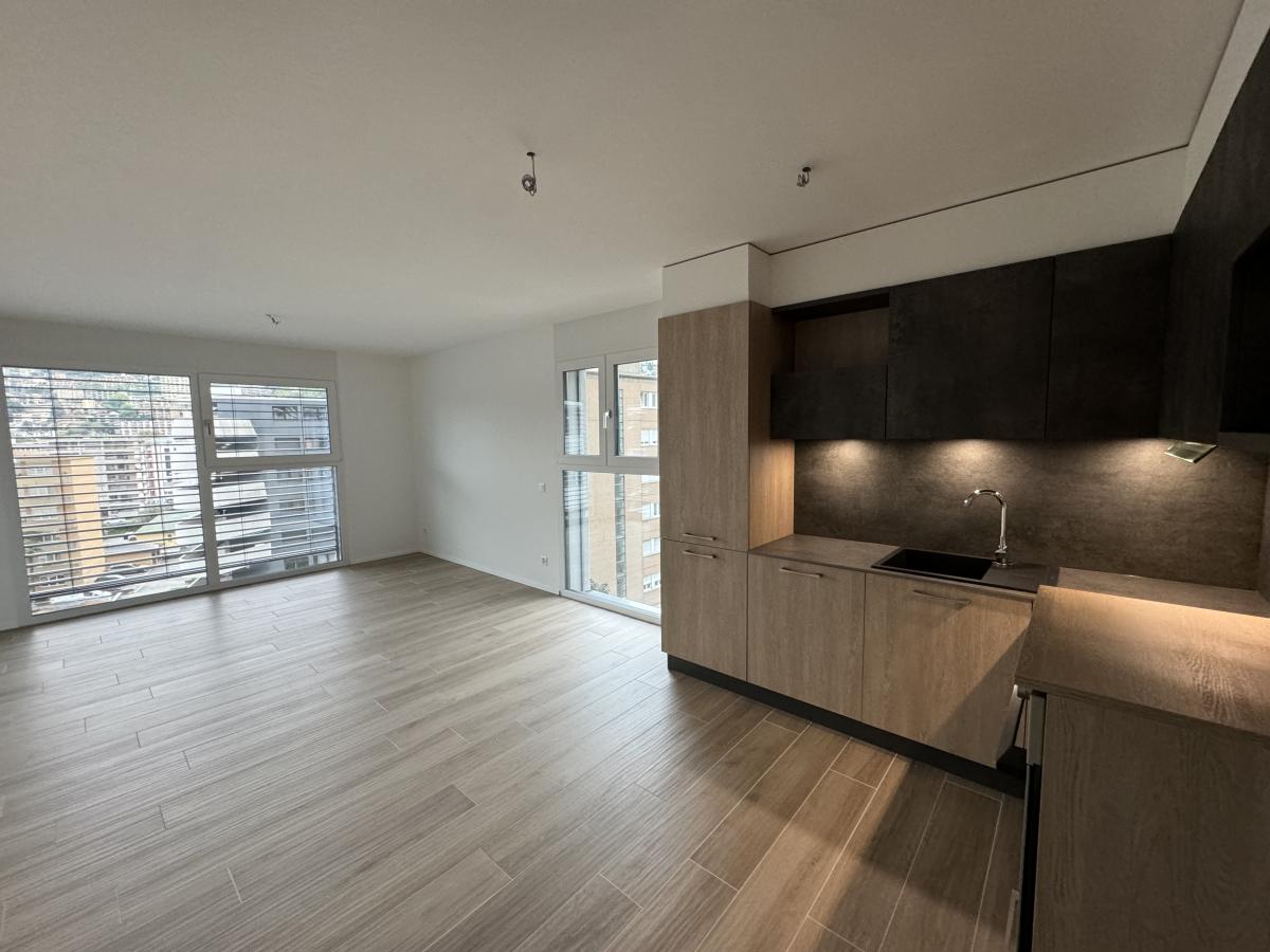 To rent   Switzerland - cChic-immoHub your real estate portal