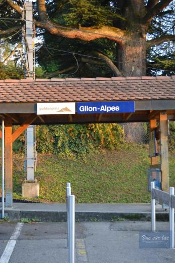 Maison à vendre à Glion - Smart Propylaia (80)