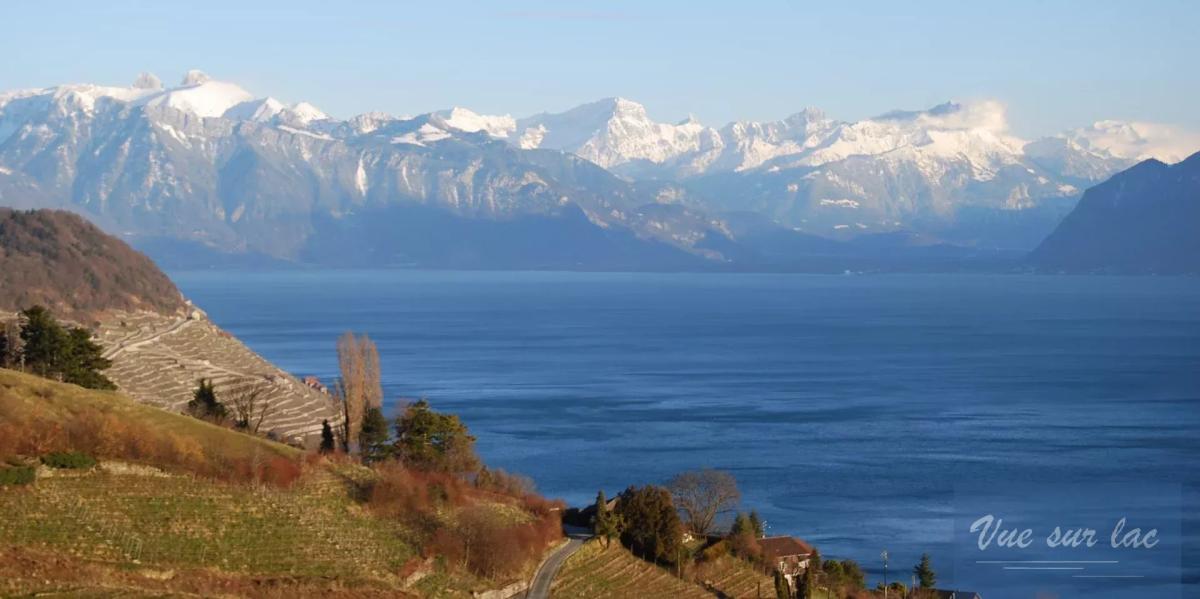 In vendita   Svizzera - 
cChic-immoHub Il vostro portale immobiliare