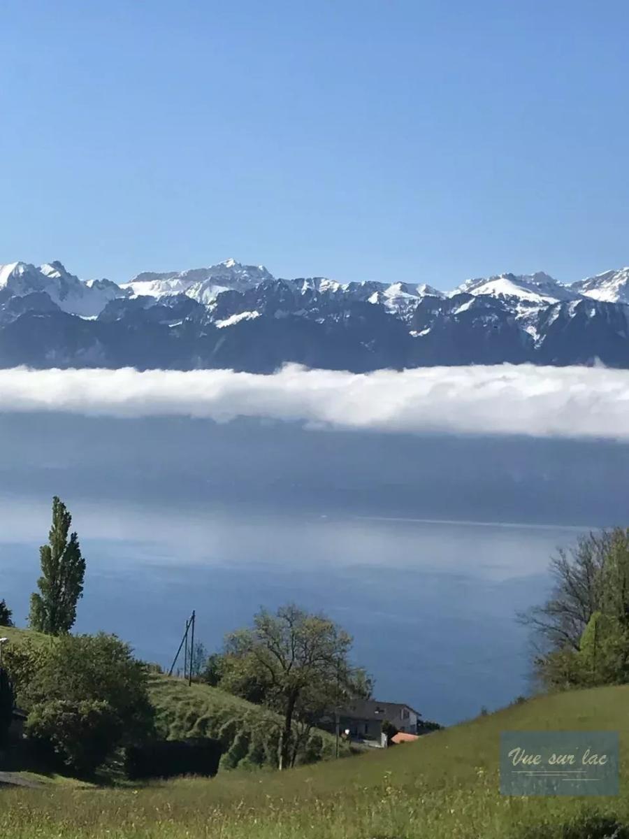 In vendita   Svizzera - 
cChic-immoHub Il vostro portale immobiliare