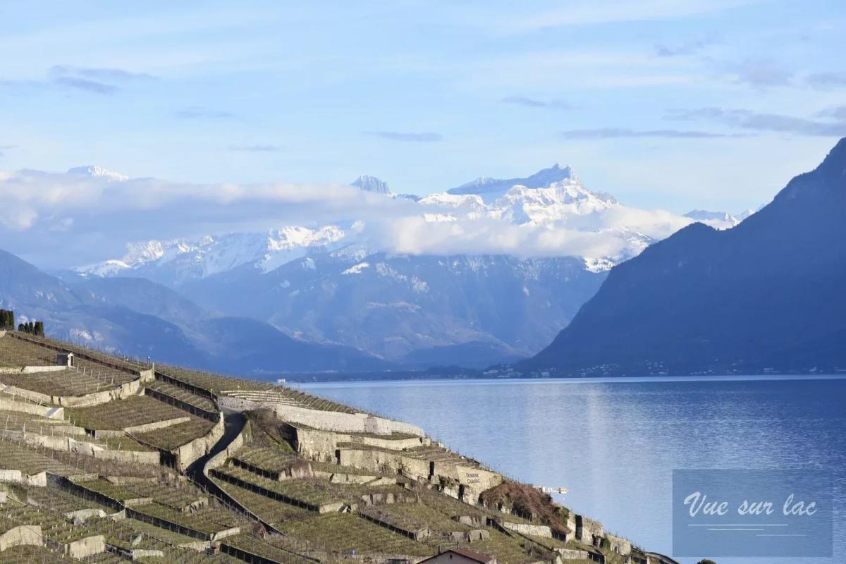In vendita   Svizzera - 
cChic-immoHub Il vostro portale immobiliare