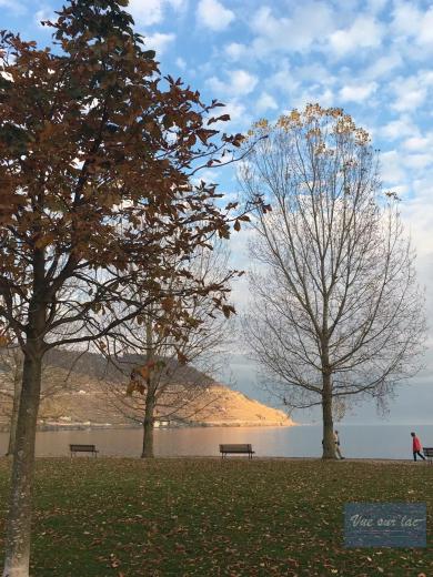 Terreno in vendita a Grandvaux - Smart Propylaia (31)