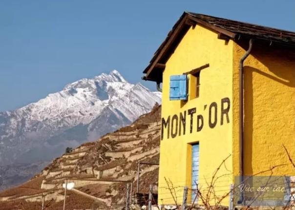 Appartamento in affitto a Clarens (50)