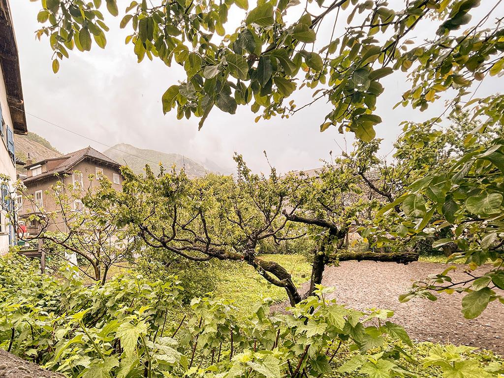 In vendita   Svizzera - 
cChic-immoHub Il vostro portale immobiliare