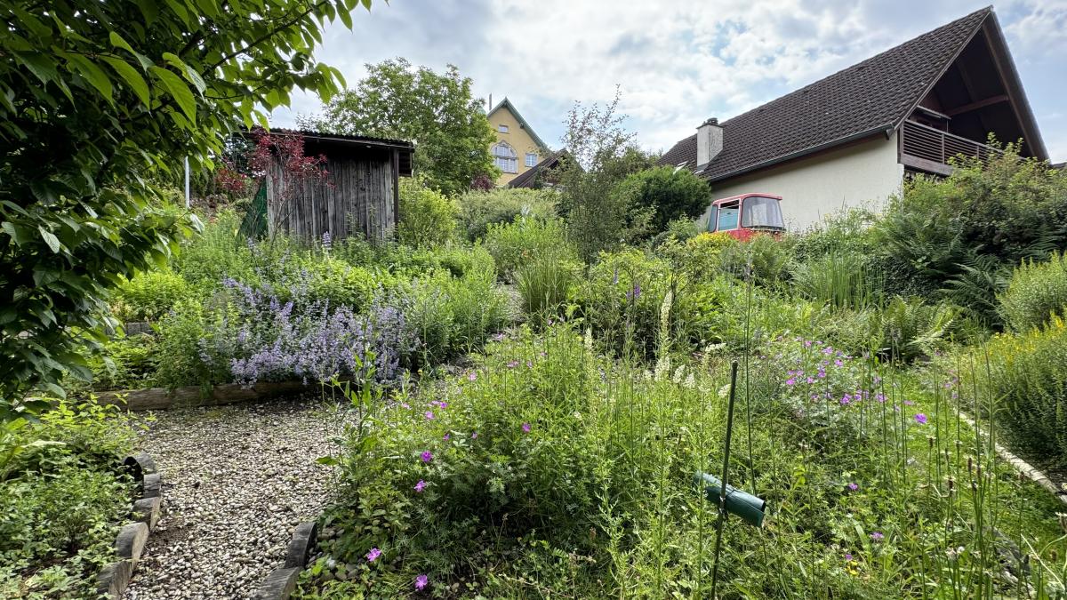 A vendre   Suisse - cChic-immoHub votre portail immobilier