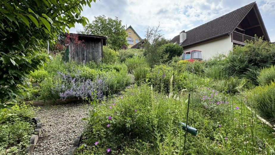 House for sale in Othmarsingen - Single house for sale in Othmarsingen, 5.5 rooms, 146 m2 - Smart Propylaia (6)