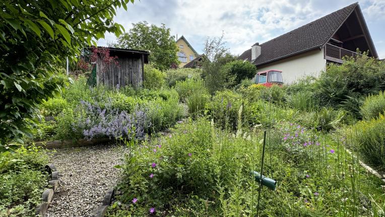 House for sale in Othmarsingen (6)