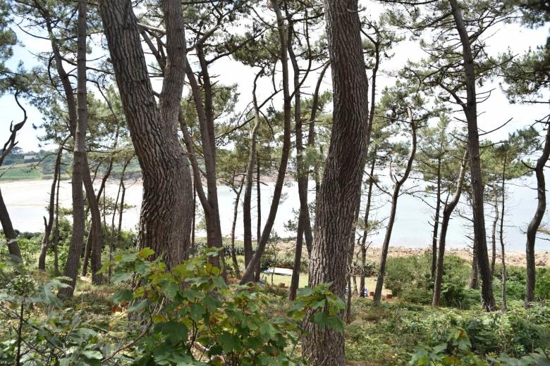 House for rent in Plougasnou - Villa for rent in Plougasnou, 4 rooms, 110 m2 - Smart Propylaia (18)