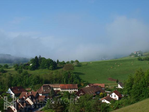 Grundstück zu verkaufen in Lostorf (4)