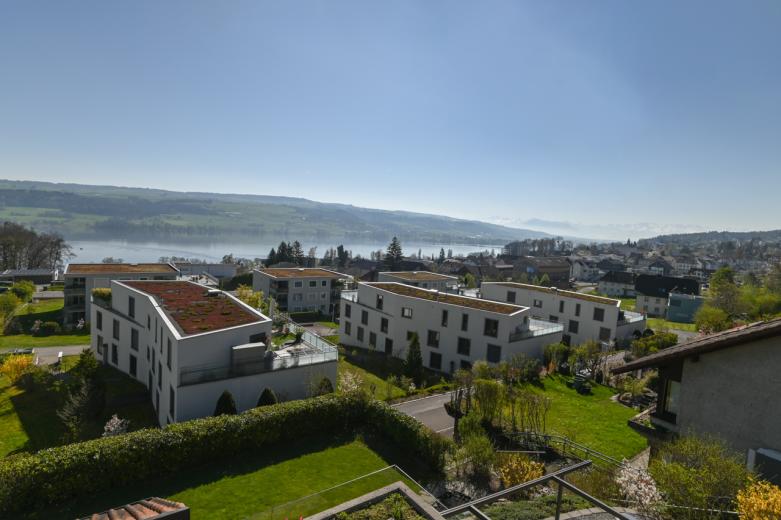 Maison à vendre à Beinwil am See - Smart Propylaia