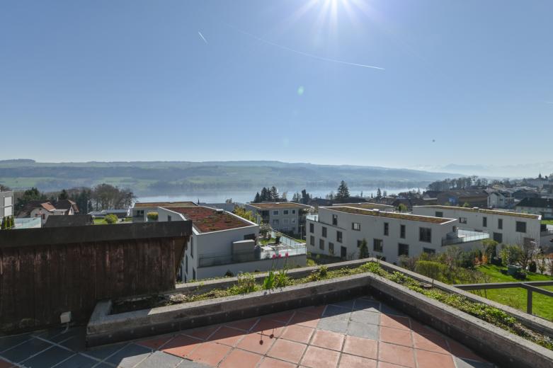 Maison à vendre à Beinwil am See - Smart Propylaia (2)
